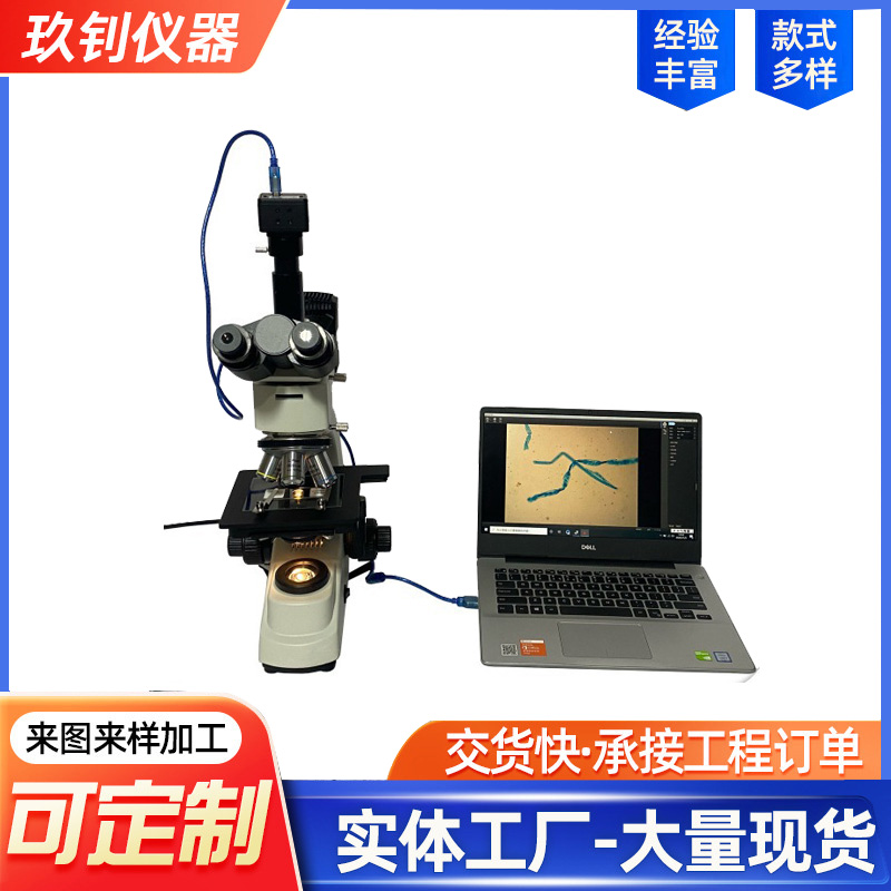 LHTF-553G型纖維圖像分析儀